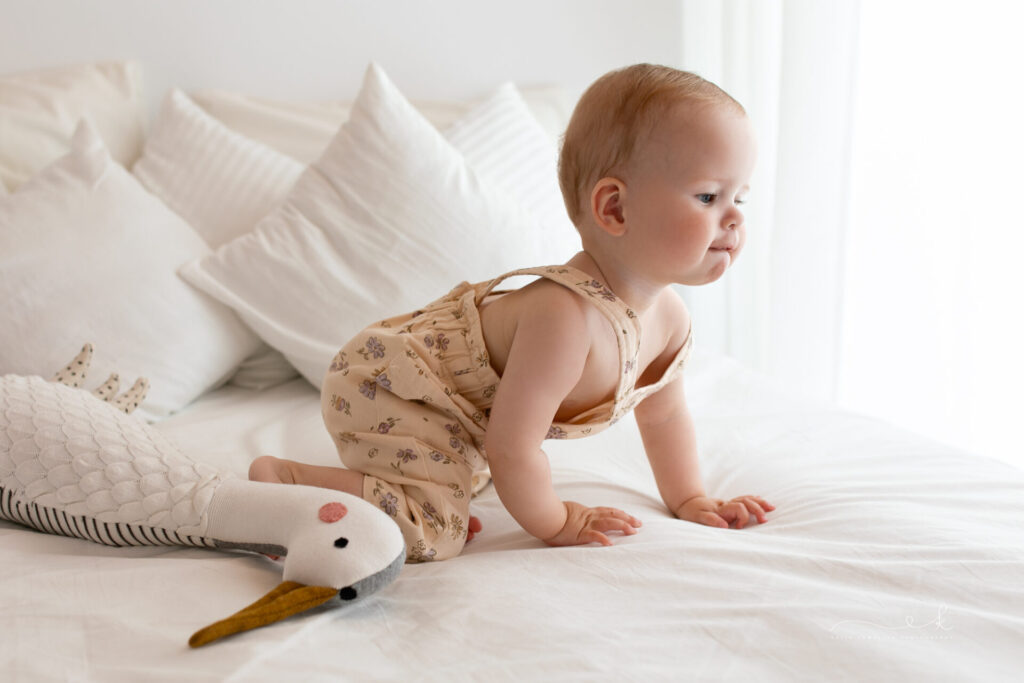 Sesja na pierwsze urodziny