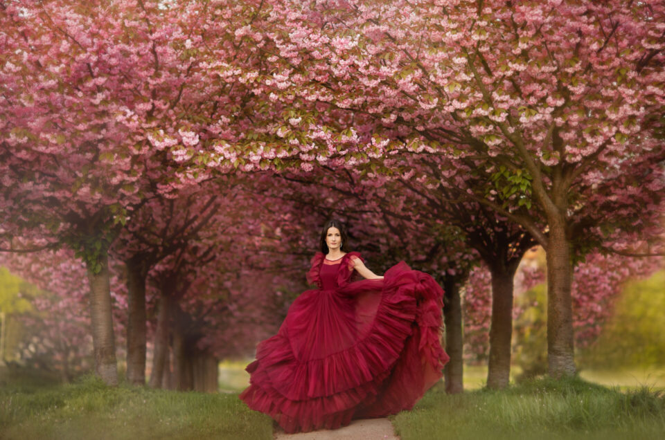 Wiosenna sesja w wiśniowej alejce