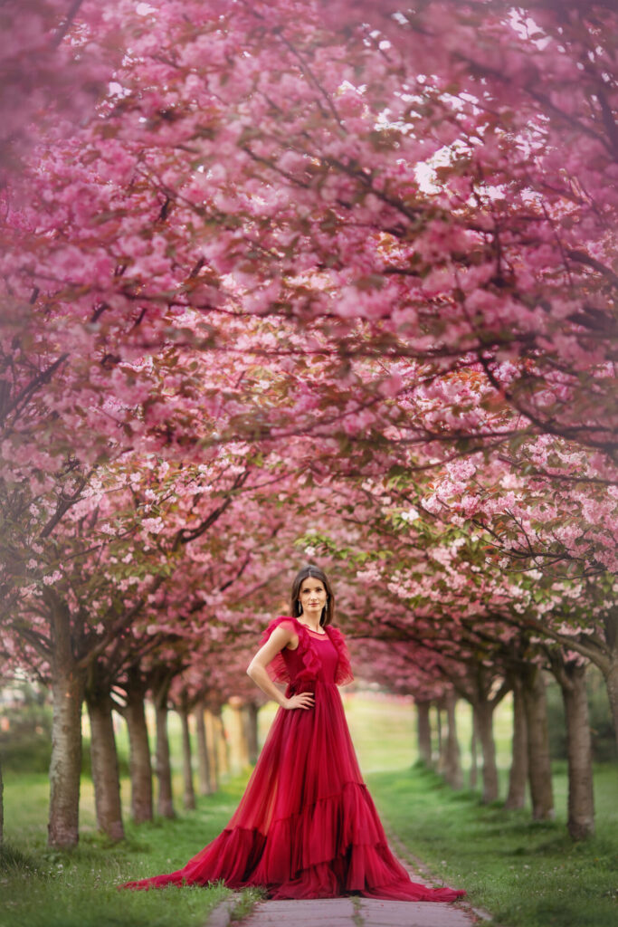 Wiosenna sesja w wiśniowej alejce