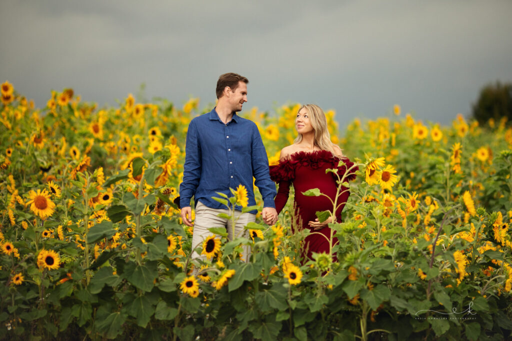 Sesja ciążowa na dużym polu słoneczników, w tle niebieskie niebo